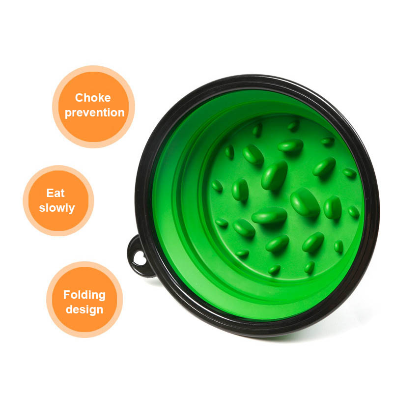 raised dog bowl
